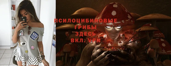 ПСИЛОЦИБИНОВЫЕ ГРИБЫ Лиски