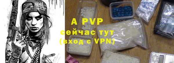 ешки Липки