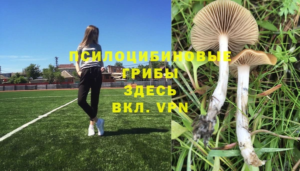 ПСИЛОЦИБИНОВЫЕ ГРИБЫ Лиски
