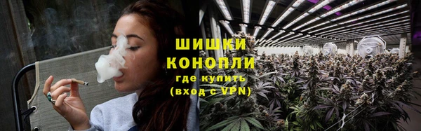 ПСИЛОЦИБИНОВЫЕ ГРИБЫ Лиски