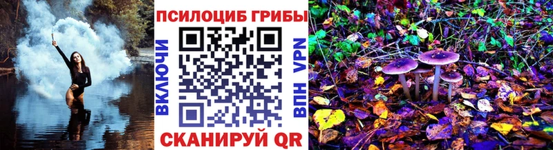 сколько стоит  Южа  Галлюциногенные грибы Psilocybine cubensis 